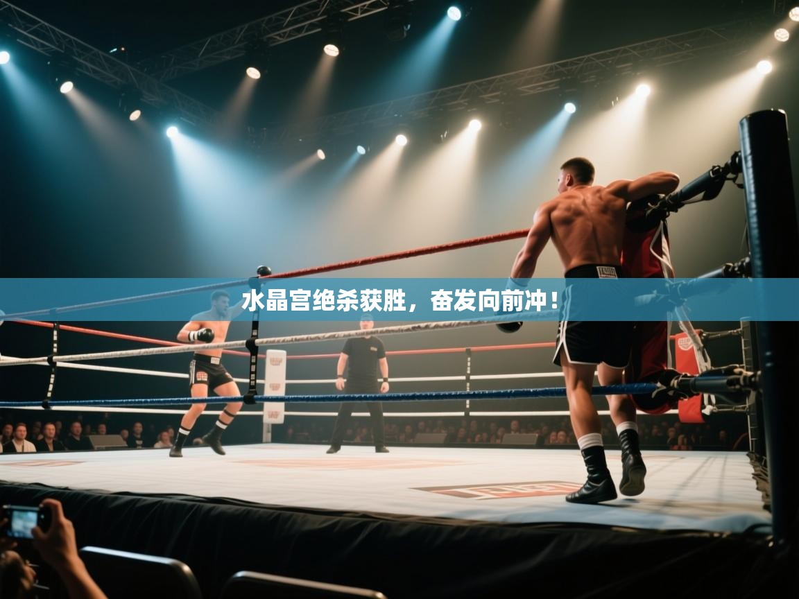 水晶宫绝杀获胜，奋发向前冲！  第2张