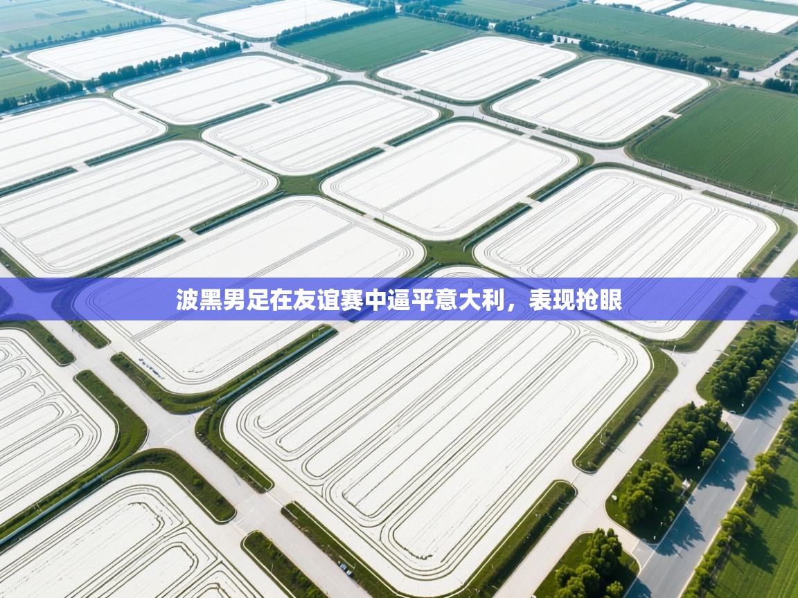 波黑男足在友谊赛中逼平意大利，表现抢眼  第1张