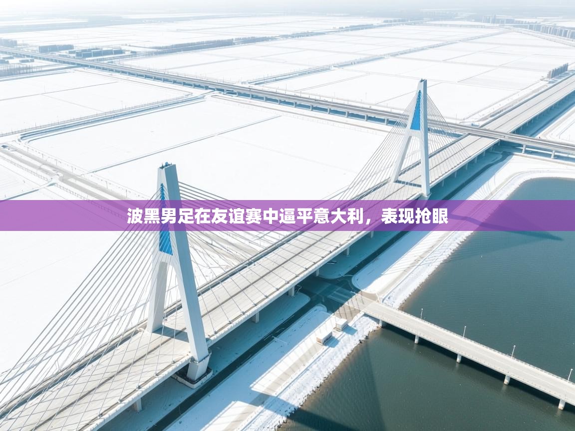 波黑男足在友谊赛中逼平意大利，表现抢眼  第2张