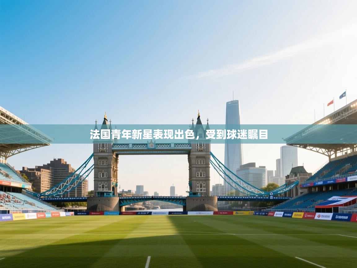 法国青年新星表现出色，受到球迷瞩目