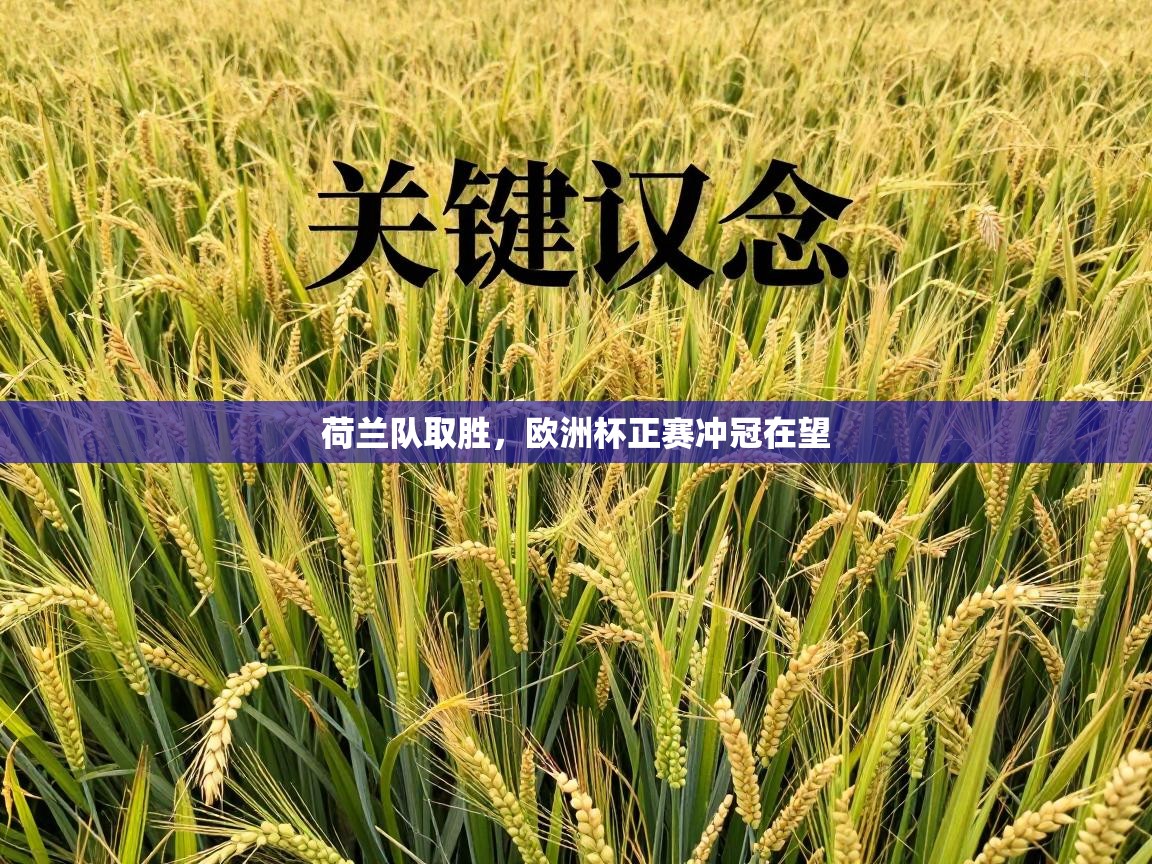 荷兰队取胜，欧洲杯正赛冲冠在望