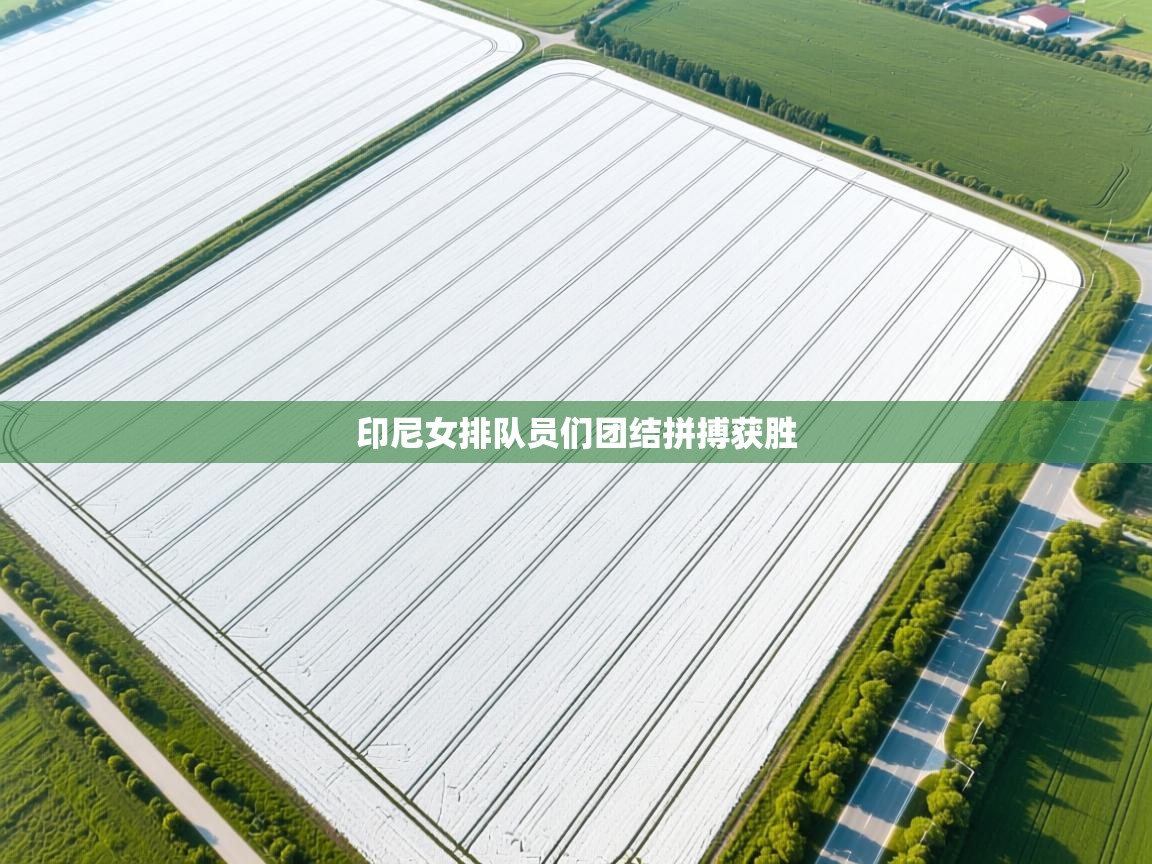 印尼女排队员们团结拼搏获胜  第1张