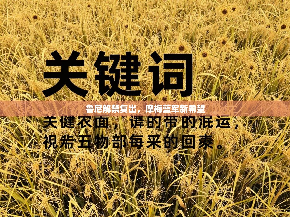 鲁尼解禁复出，摩梅蓝军新希望